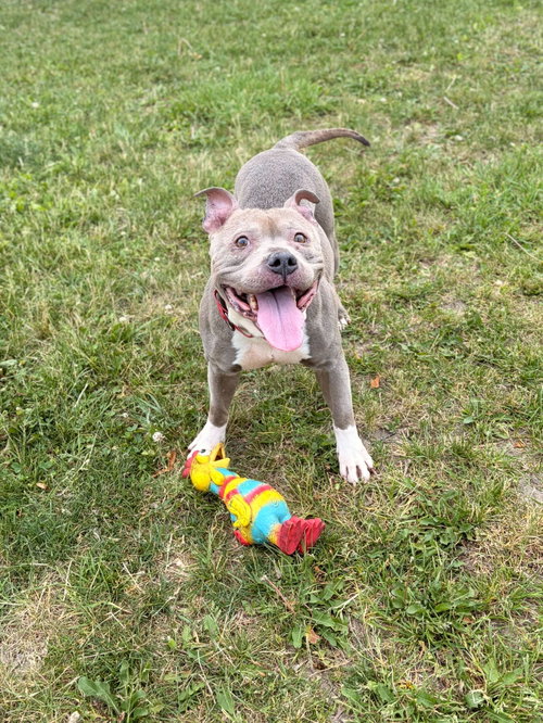 Peaches photo 2