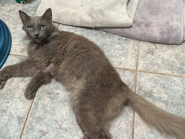 Luna