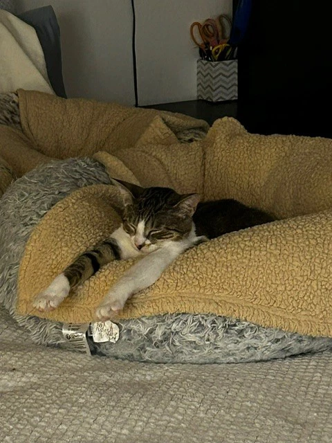 Binx And Nina