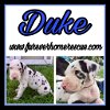 Duke
