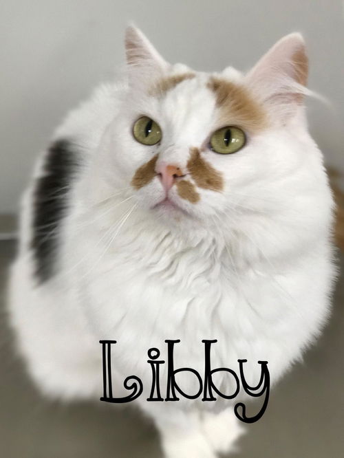 Libby