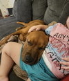 Buck - Photo 3