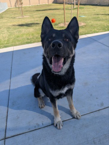 AXLE