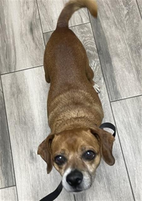 CARMELO