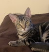 Raylan - Photo 1
