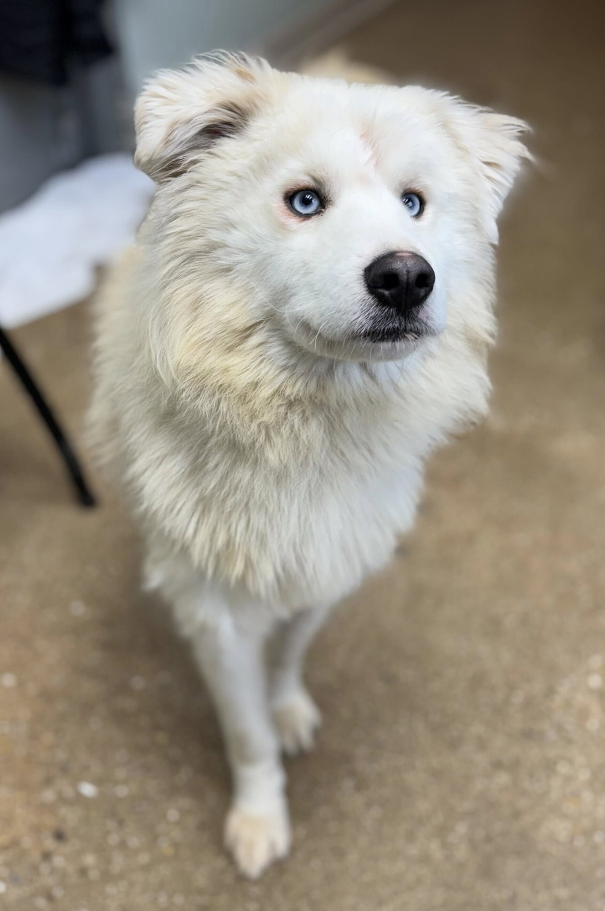 Meko Image