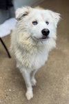 Meko - Photo 1