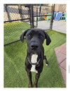 Mavis - Photo 1