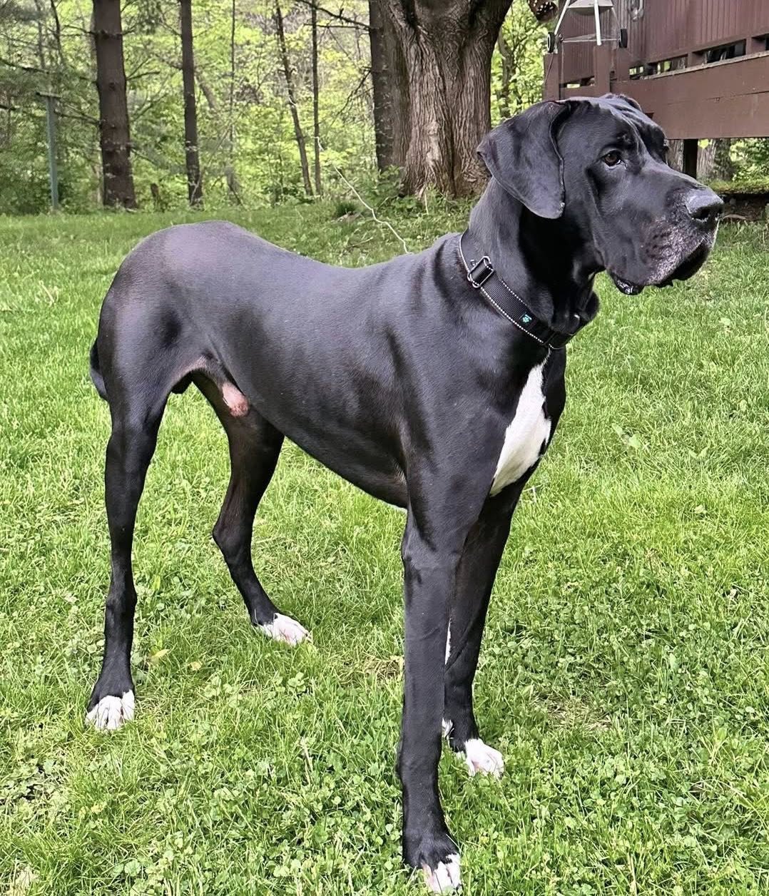 Sam