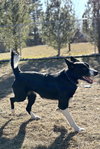 Max - Photo 4