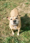 Sadie - Photo 2