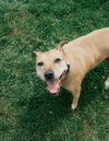 Sadie - Photo 3