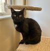 Pippy - Photo 3