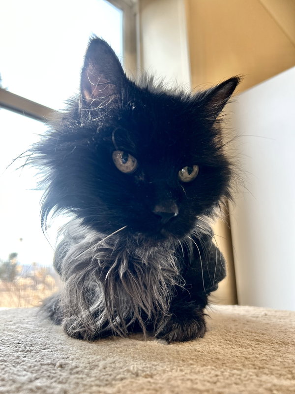 Missy