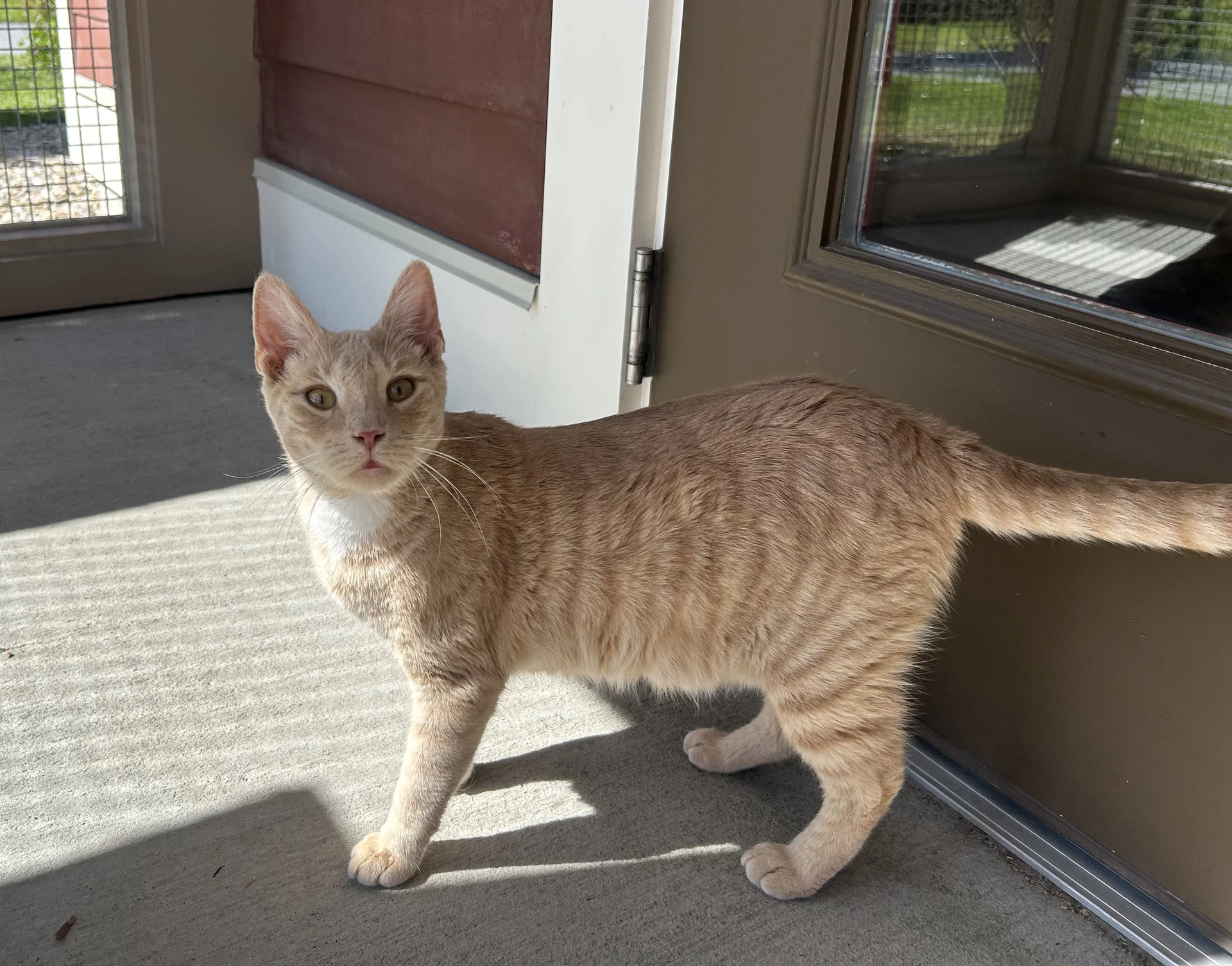 Milo