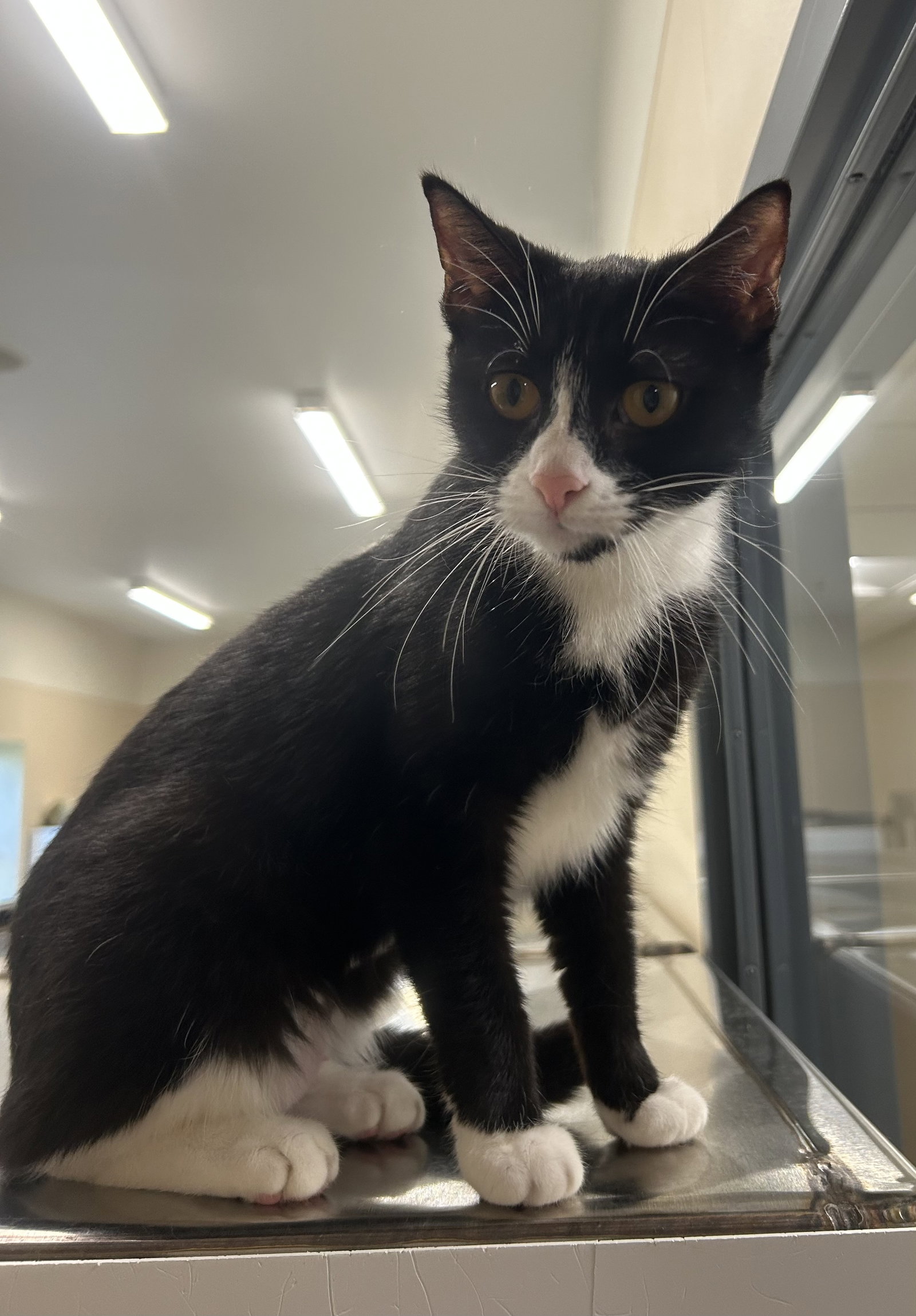 Grace