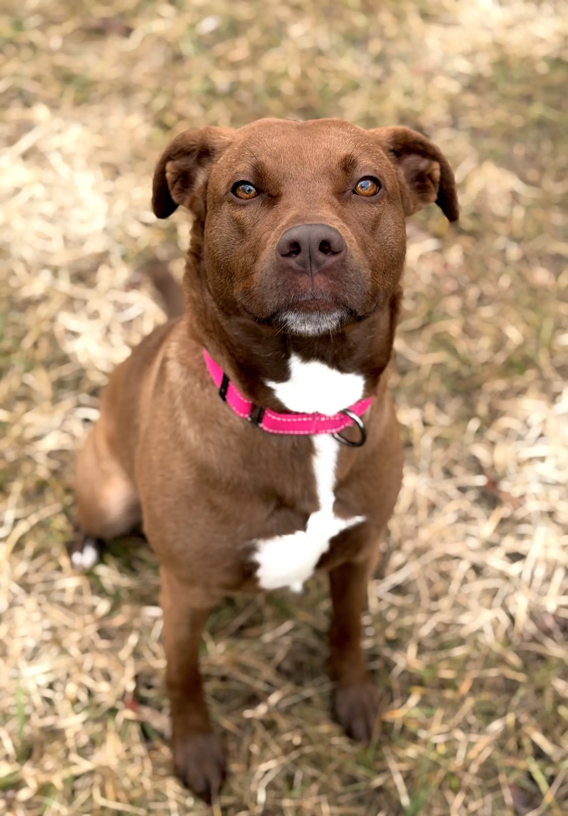 Mattie image 3