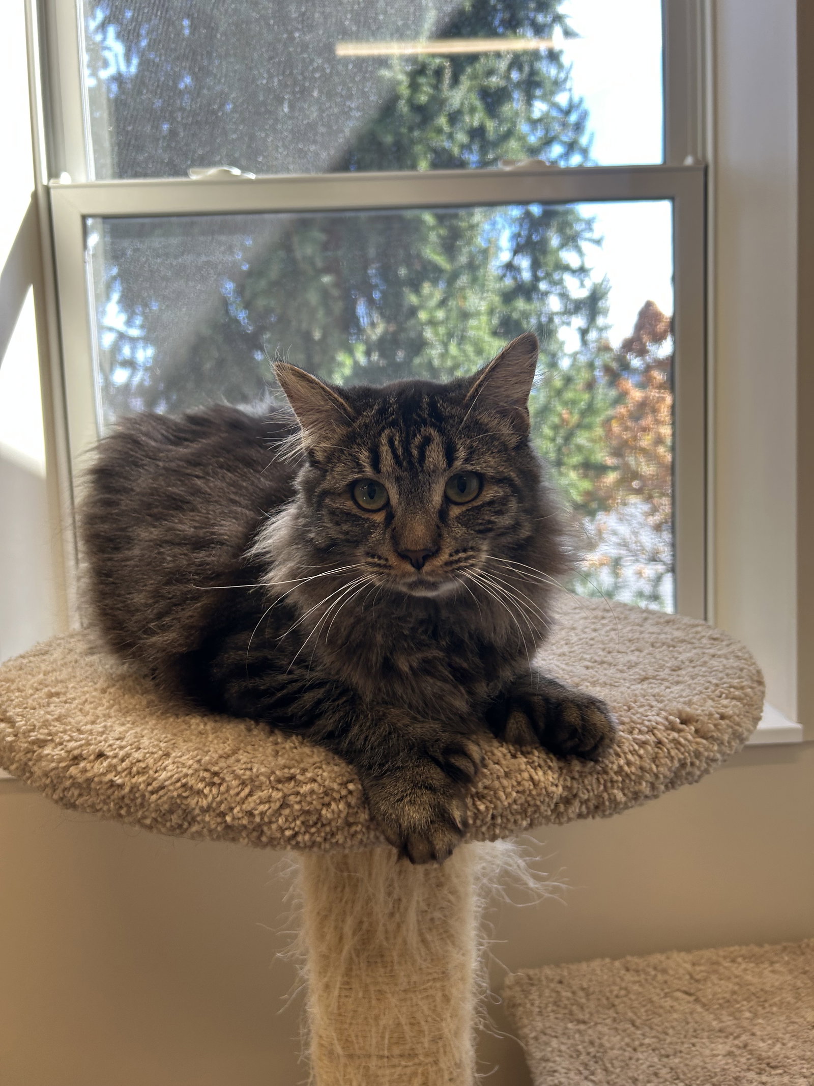 Duncan