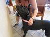 adoptable Dog in Ocala, FL named TOOTSIE