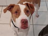 MOLLY - Photo 1