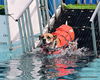 adoptable Dog in ocala, FL named BUCK