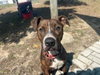 MOLLY - Photo 1