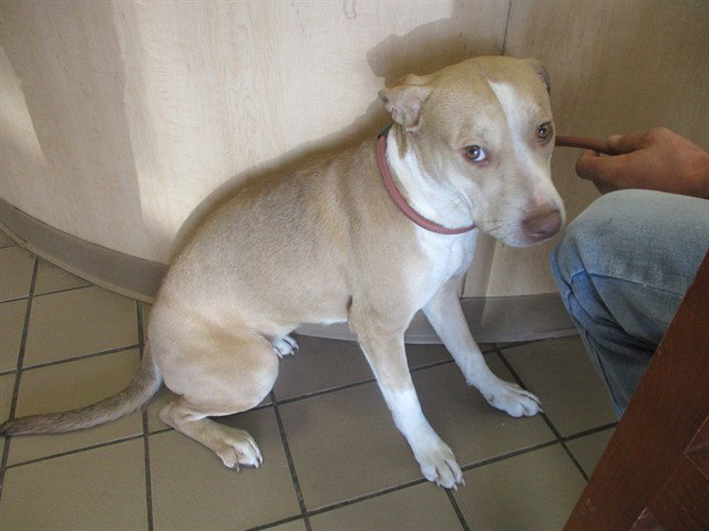 Emmie