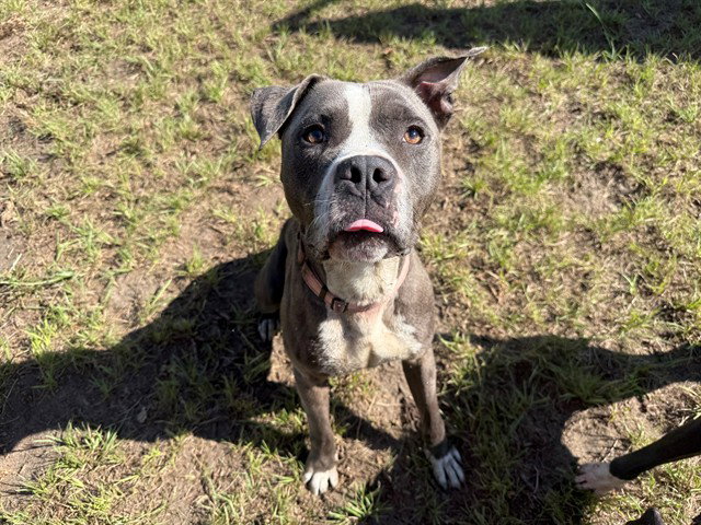 BERK