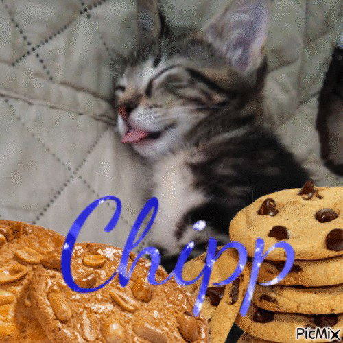 CHIPP