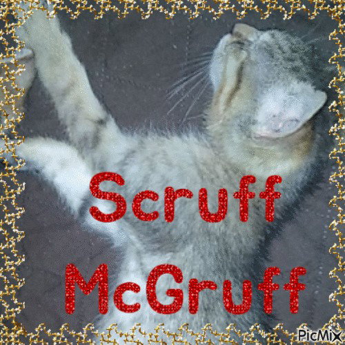 Scruffy Mcgruff