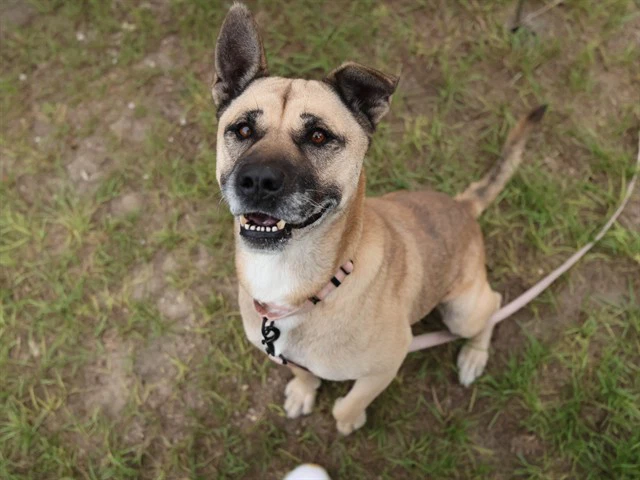 Lucy