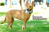 Ima from Taiwan - Photo 5