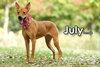 July from Taiwan - Photo 4