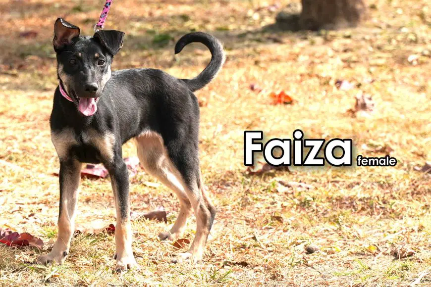 Faiza From Taiwan image 3