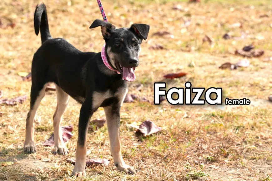 Faiza From Taiwan image 4