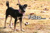 Faiza from Taiwan - Photo 4