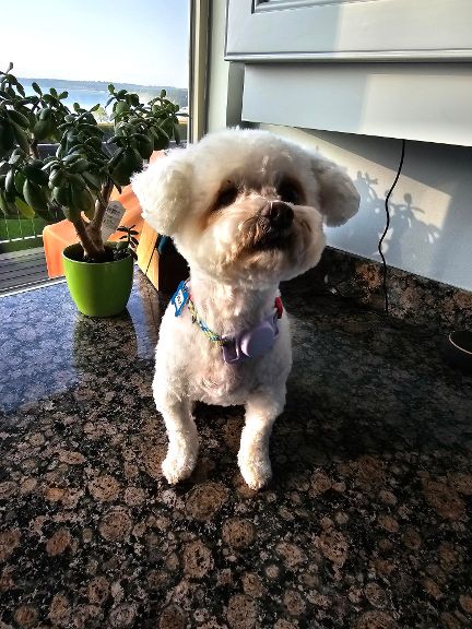 Photo of Grace from Korea