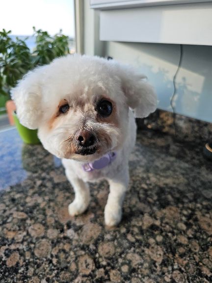 Photo of Grace from Korea