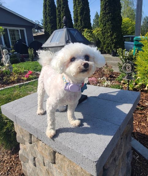 Photo of Grace from Korea