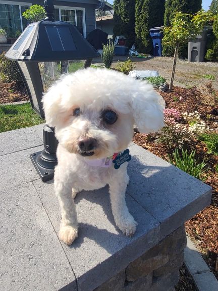 Photo of Grace from Korea