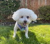 Grace from Korea - Photo 7