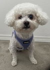 Grace from Korea - Photo 9