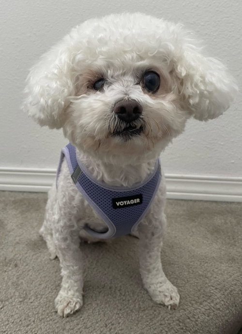 Photo of Grace from Korea