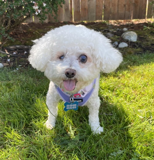 Photo of Grace from Korea