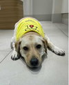 Benson from Korea - Photo 3