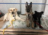 Benson from Korea - Photo 4