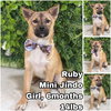 Ruby from Korea - Photo 1