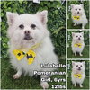 Lulabelle from Korea - Photo 1