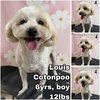 Louis from Korea - Photo 1