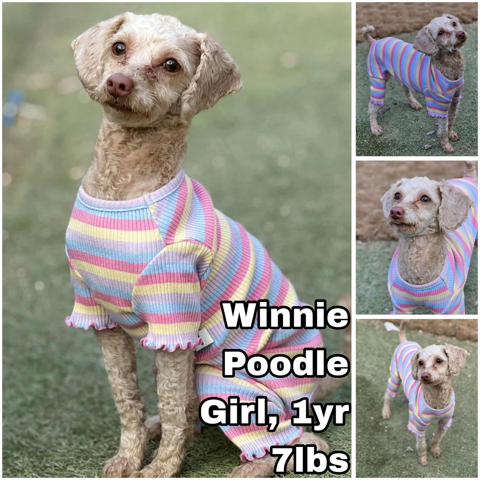 Winnie from Korea Image